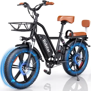 Ridstar FM-001 Electric Bicycle 1000W 48V 15AH Road City Ebike for Adult 20Inch Fat Tire Beach Mountain With Backseat Cycling