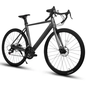 YY2700c 14 Speed,Aluminum Alloy Lightweight Frame Disc Brake ,Racing Bike City Commuting Road Bicycle for Men Women